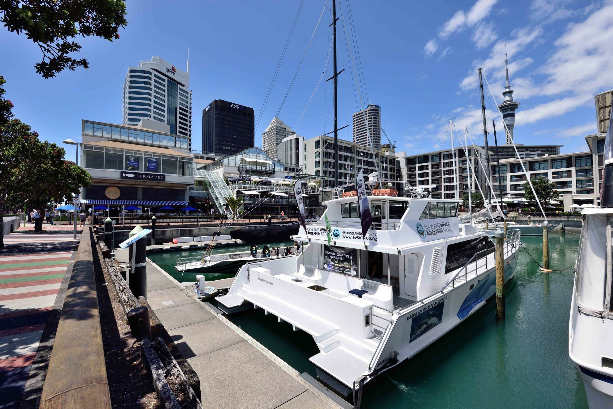 Furnished Apartment In Auckland Cbd Dış mekan fotoğraf
